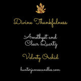 DIVINE THANKFULNESS 'VELVETY ORCHID'
